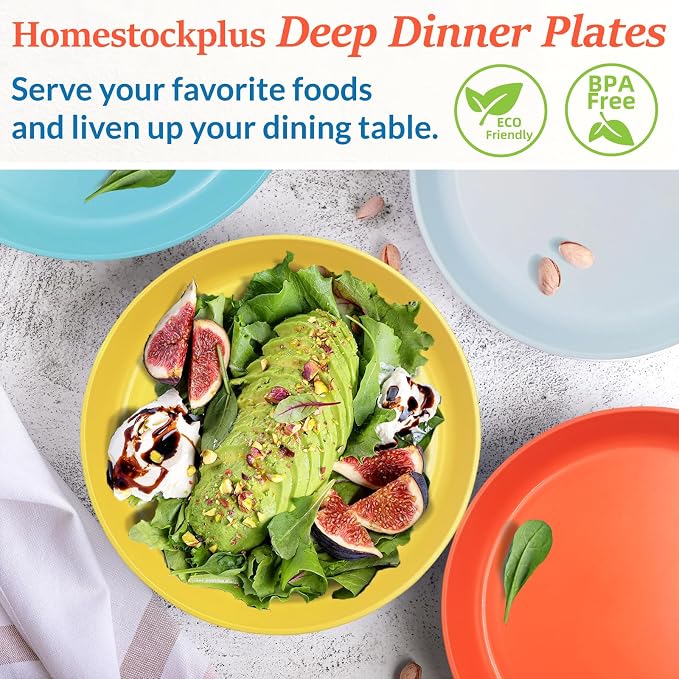 9 Inch Dinner Plates Set of 8 - Image 2