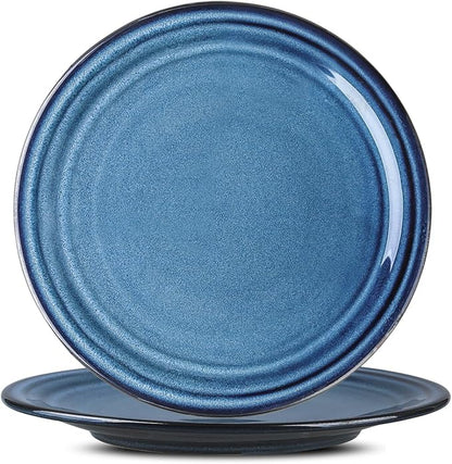 HASENSE Ceramic Dinner Plates Set of 2, 10 Inch Large Porcelain Pasta and Salad by Hasense