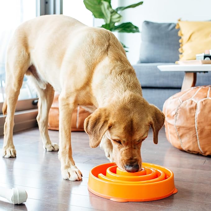 Outward Hound Fun Feeder Slo Bowl – Large 4‑Cup Capacity, Slow Feeding - Image 6