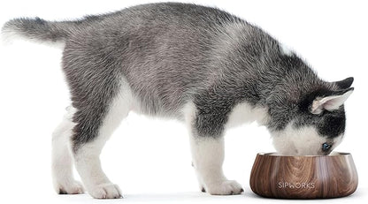 Sipworks Stainless Steel Dog Bowl – 32oz Weighted Metal Food and Water Bowls for Dogs and Cats with Non-Slip Base - Pet Bowls for All Breeds Sizes for Travel & Outdoor Play | Salmon
