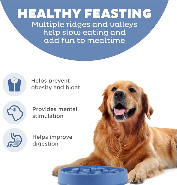 Outward Hound Fun Feeder Slo Bowl – Large 4‑Cup Capacity, Slow Feeding - Image 2