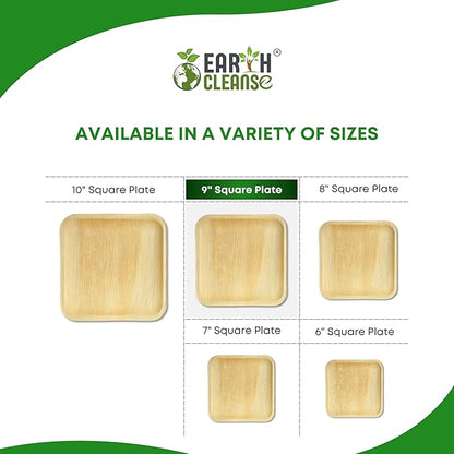 100% Compostable Palm Leaf Plates 9 Inch Square (50 Pack) | Disposable Biodegradable Plates Like Bamboo & Wooden | Microwave & Oven Safe | Eco-Friendly
