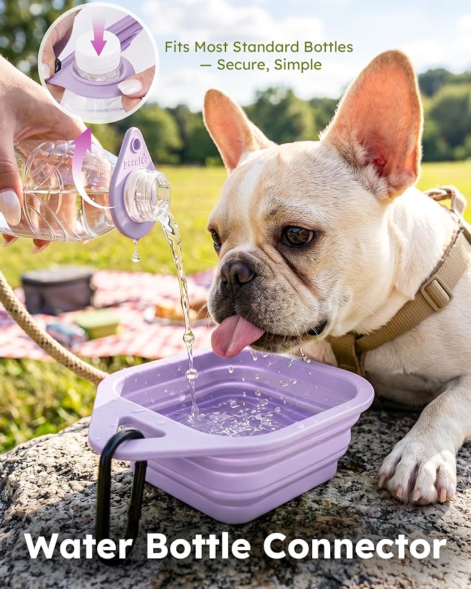 Pecute 2 Pack Foldable Dog Bowls - Image 4