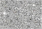 Silver Diamond Rhinestone Encrusted Square Placemats - Set of 2