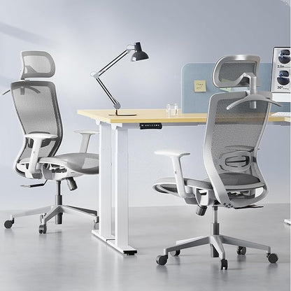 FLEXISPOT OC3 Air Ergonomic Office Chair Mesh Back Swivel Computer Chair Executive Office Desk Chairs with Adjustable Lumbar Support/2D Headrest/Lockable Backrest, Mesh Seat Cushion, Light Gray