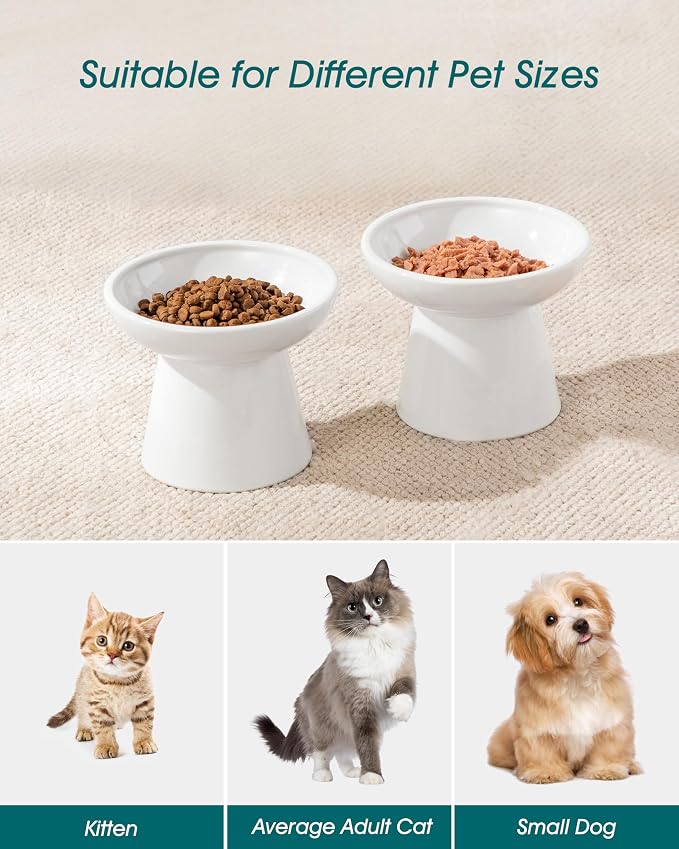 vancasso Elevated Cat Food Bowls 2-Pack, 6.2" Wide Shallow Cat Feeding Bowl - Image 6