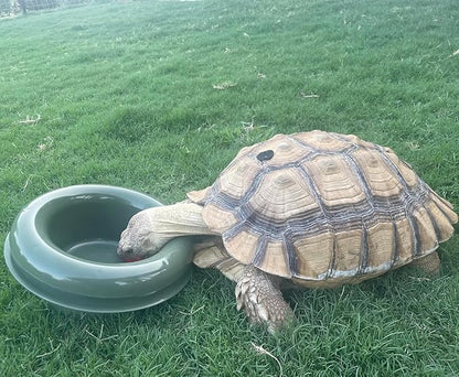 The Mote - ant Proof Dog Bowl, Innovative Waterless System, Durable & Maintenance-Free, Simple Design Effectively Keeps Ants Out, for Dogs, Cats, and More (Tan)