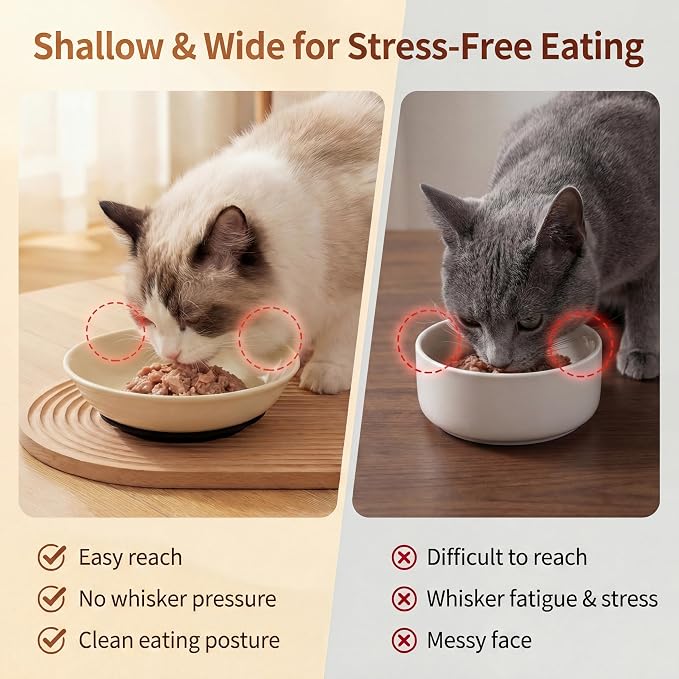 Ceramic Cat Food Bowls 6 Pack – Shallow Cat Bowl - Image 3