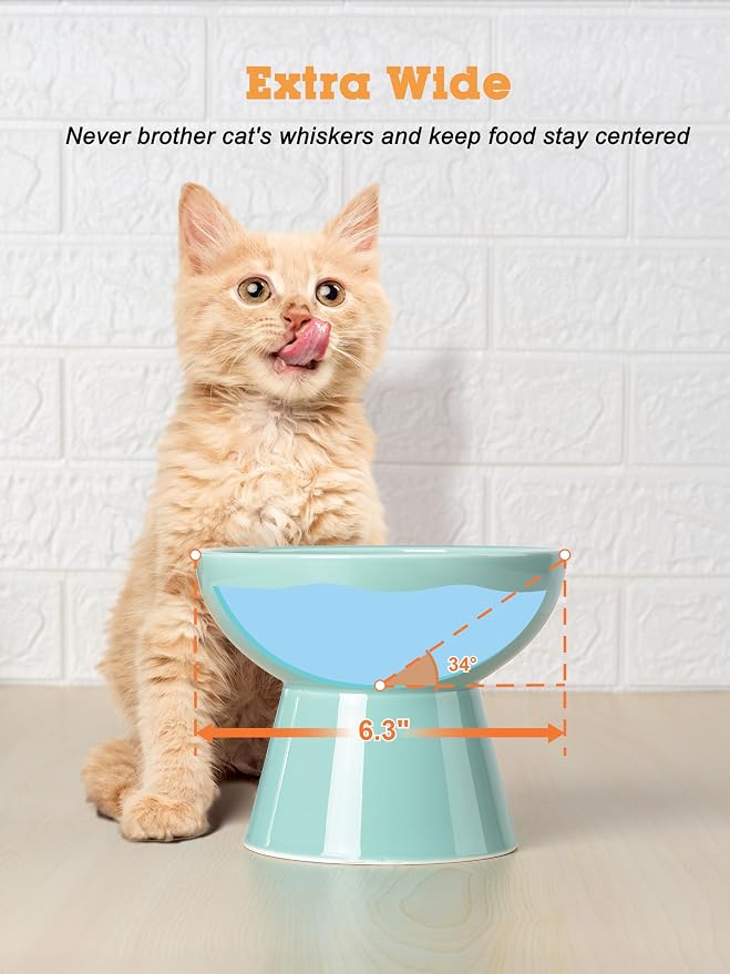 LoeJan Elevated Cat Food and Water Bowls Set, Extra Wide and Raised Ceramic - Image 4