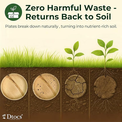 Dtocs Palm Leaf Plates 10 Inch Round (50) | Bamboo Plates Disposable Like Compostable Dinnerware Set for Party, Dinner, Serving Platters, Charcuterie Boards | Alternate to Plastic, Wood, Paper Plate