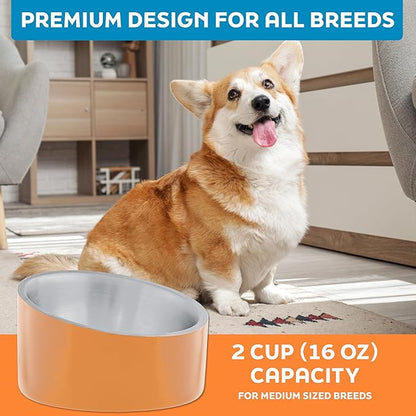 Master Pet Supply Stainless Steel Slanted Dog Cat Food Bowl - 16 oz Heavy Duty - Mango Tango, Double Wall Insulated, Non-Slip Elevated Bowl for French Bulldogs Pugs Cats, Anti Rust Dishwasher Safe