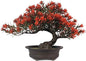 Artificial Bonsai Tree Fake Plants for Home Decor, Living Room Bathroom Bookshelf Entryway Table Wall Shelf Modern Farmhouse Decor, 9.5" Tall, Red