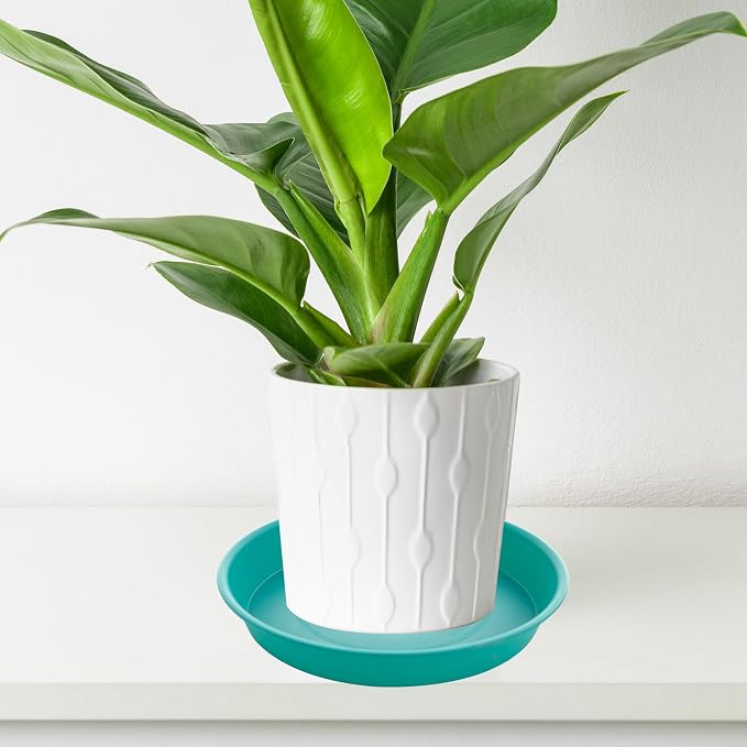 2 Pack of 20 21 inch Plant Saucer Round, Deep Plant Saucers - Image 4