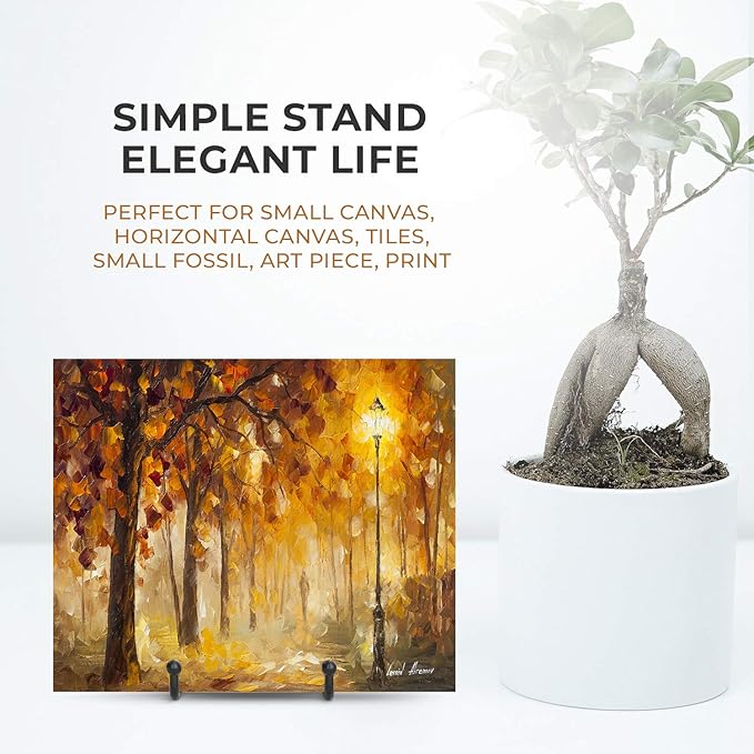 TR-LIFE Plate Stands for Display - 3 Inch Plate Holder Display Stand + Metal Frame Holder Stand for Picture, Decorative Plate, Book, Photo Easel (2 Pack)