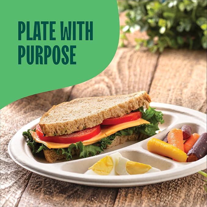 100% Compostable, 3 Compartment, Disposable Paper Plates - Image 4