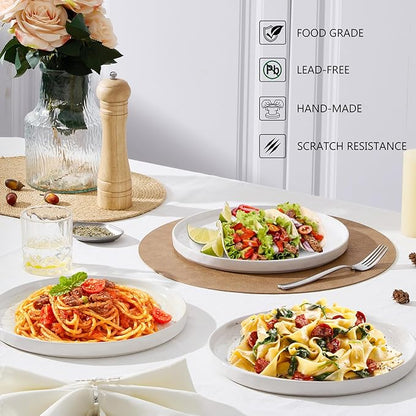 LIANYU Dinner Plates Set of 6, 10.2 Inch Large Ceramic Dessert Plate for Kitchen, Porcelain Serving Dishes for Salad Appetizer Cake Bread, Scratch Resistant, Microwave & Dishwasher Safe, Polar White
