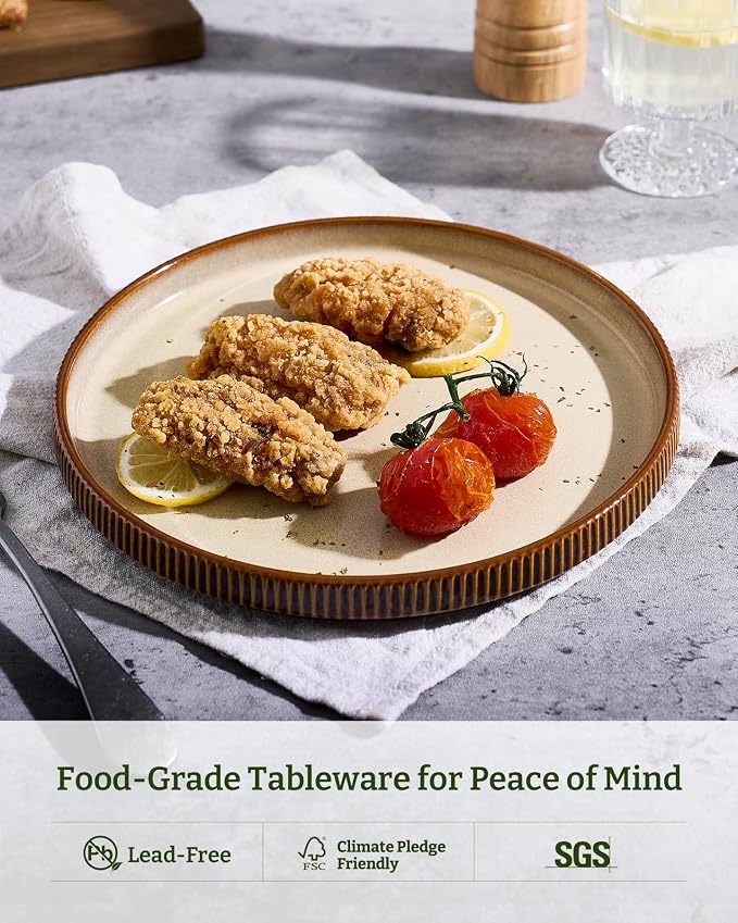 famiware Star 10/8 inches Dinner Plates Set - Image 5