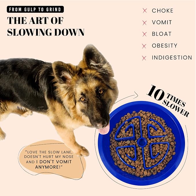 AVERYDAY Slow Feeder Dog Bowls for Large Breeds Fits Raised Feeding Station - Image 2