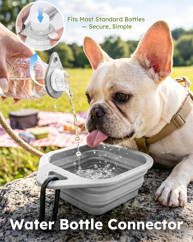 Pecute 2 Pack Foldable Travel Dog Bowls, Portable Silicone, BPA Free, - Image 4