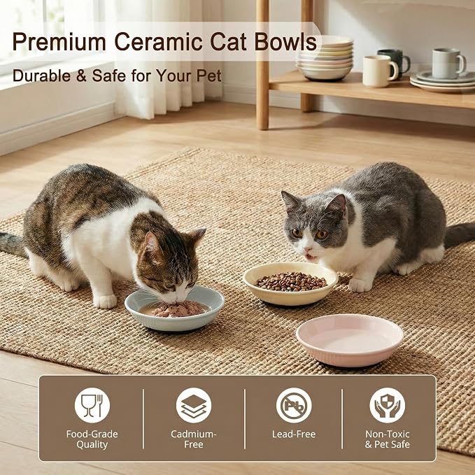 Ceramic Cat Food Bowls 6 Pack – Shallow Cat Bowl - Image 6