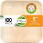 Raj Palm Leaf Plates [100-Pack] 6" Square Plates like Bamboo plates Disposable, Strong, Decorative Compostable Tableware for wedding, Lunch, Dinner, Birthday, Camping, Outdoor BBQ, Picnic