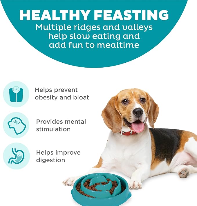 Outward Hound Fun Feeder Slo Bowl – Medium 2‑Cup Capacity, Slow Feeding - Image 2