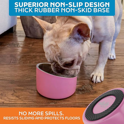 Master Pet Supply Stainless Steel Slanted Dog Cat Food Bowl - 8 oz Heavy Duty - Hyper Pink, Double Wall Insulated, Non-Slip Elevated Bowl for French Bulldogs Pugs Cats, Anti Rust Dishwasher Safe
