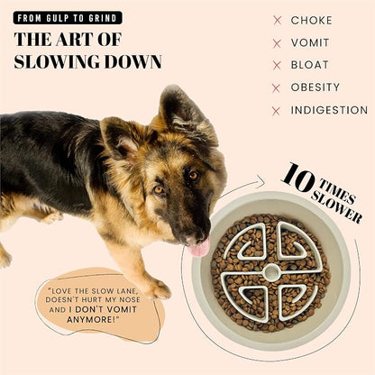 AVERYDAY Slow Feeder Dog Bowls for Large Breeds Fits Raised Feeding Station - Image 2