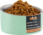 Master Pet Supply Stainless Steel Slanted Dog Cat Food Bowl - 24 oz Heavy Duty - Pistachio, Double Wall Insulated, Non-Slip Elevated Bowl for French Bulldogs Pugs Cats, Anti Rust Dishwasher Safe