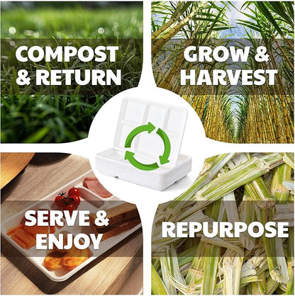 Compostable 5-Compartment Paper Plates, 100 Count, 12.5 x 8.6 inch, Disposable Divided Lunch Trays, Biodegradable Bagasse Sectional Plates for Buffet, Parties, Events & Daily Use, (White)