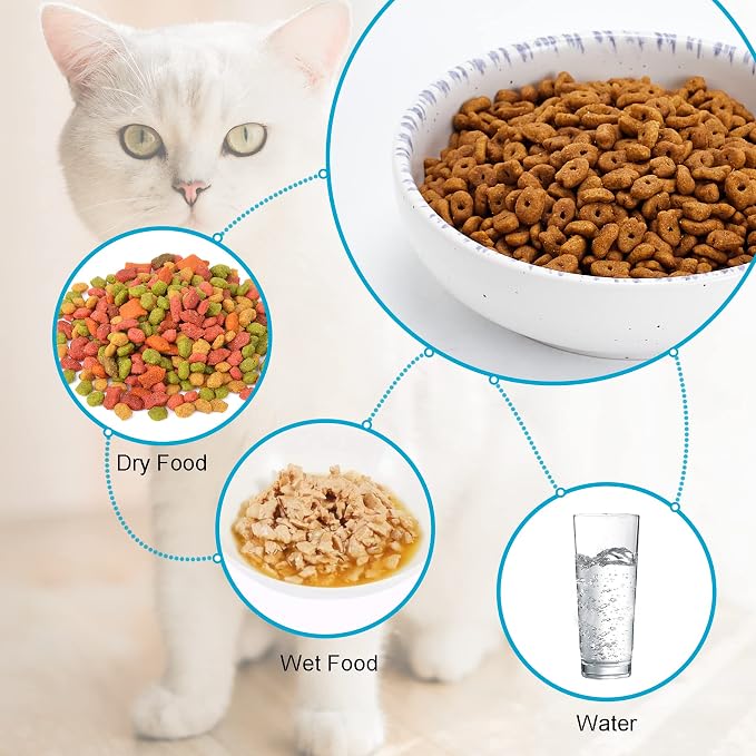 Howise Ceramic Cat Bowls, 5.19 in Cat Food Bowl Cat Dishes - Image 2