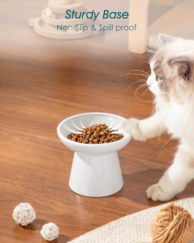 vancasso Elevated Cat Food Bowls 2-Pack, 6.2" Wide Shallow Cat Feeding Bowl - Image 7