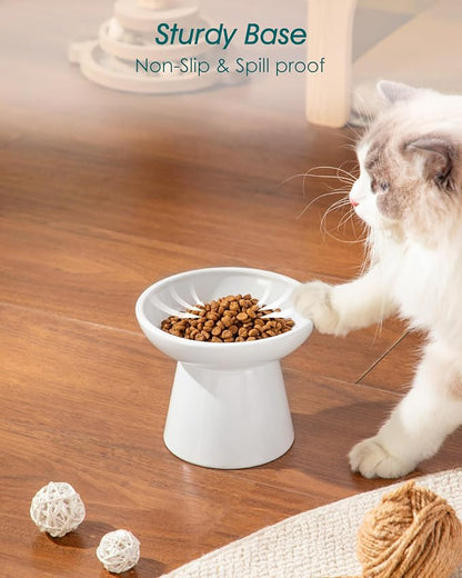 vancasso Elevated Cat Food Bowls 2-Pack, 6.2" Wide Shallow Cat Feeding Bowl - Image 7