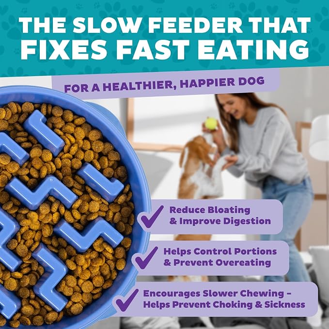 Outward Hound Fun Feeder Slo Bowl – 2‑Cup Capacity, Slow Feeding, Small to - Image 4