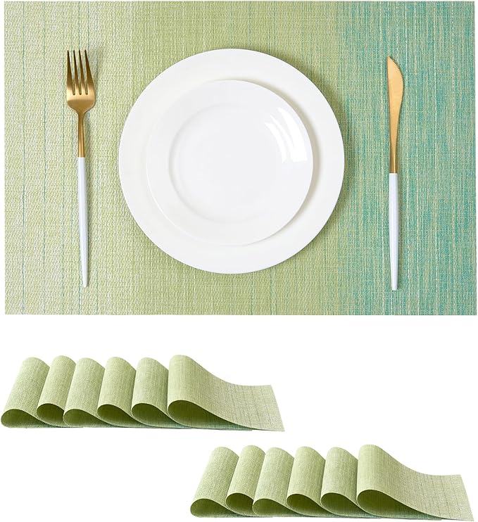 Leetaltree Gradient Green Woven Placemats Set of 12 by Leetaltree-ArtatEveryTable