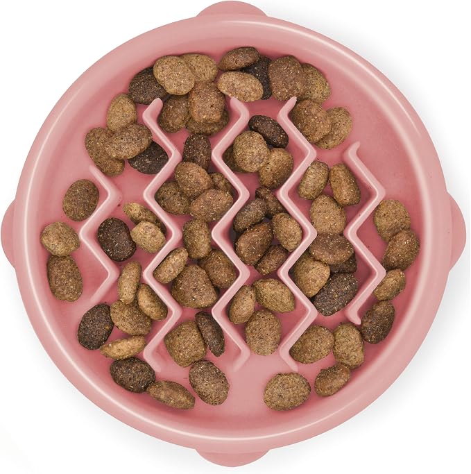 Outward Hound Fun Feeder Slo Bowl – Small 3/4-Cup Capacity, Slow Feeding by OutwardHound