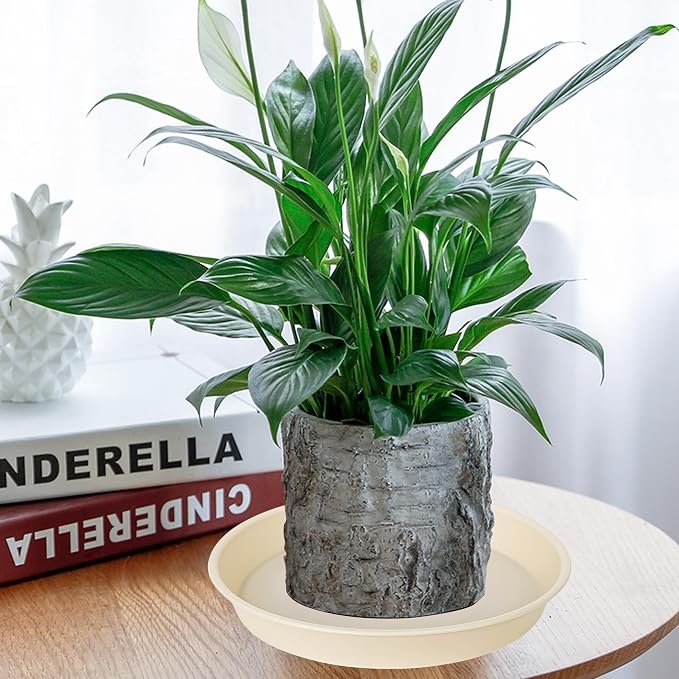 2 Pack of 10 inch Plant Saucer Gray, Heavy Duty Plastic Plant Saucer 10 inch - Image 3