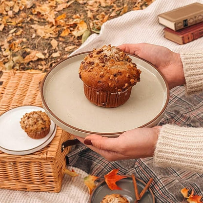 Mora Ceramic Flat Plates Set of 6-8 in - The Dessert, Salad, Appetizer, Small Lunch, etc Plate. Microwave, Oven, and Dishwasher Safe, Scratch Resistant. Kitchen Porcelain Dish - Neutrals