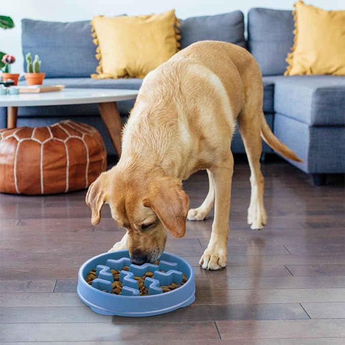 Outward Hound Fun Feeder Slo Bowl – Large 4‑Cup Capacity, Slow Feeding - Image 6