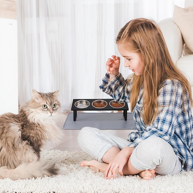 Summark Upgraded Elevated Cat Bowls - Image 7