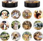 Coasters Set of 12 by Unknown