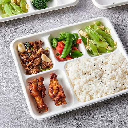Vplus 500 Pack 5 Compartment Plates, 100% Compostable Paper Plate, 10.25x8.5 inch Disposable School Lunch Trays, Eco-Friendly Bagasse Plates for School Lunch, Buffet, and Party, Perfect for Kids