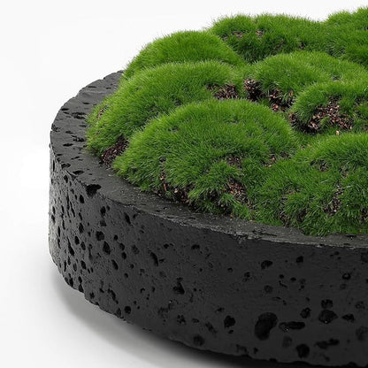 NAHARO New Moss Bowl, Living Room, or Coffee Table Display - Image 3
