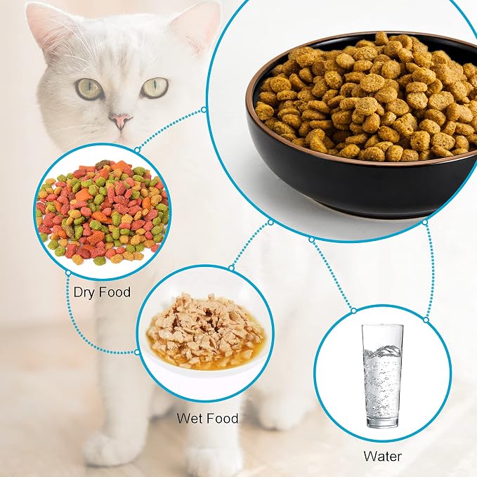 Ceramic Cat Bowls, Howise Pet Bowl Cat Dishes - Image 2
