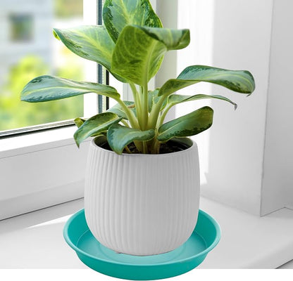 2 Pack of 20 21 inch Plant Saucer Round, Deep Plant Saucers - Image 3