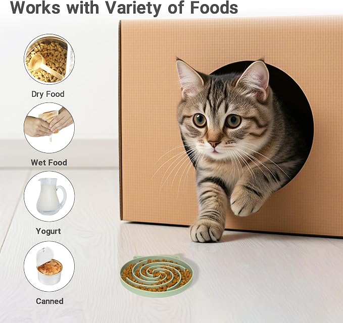 Bifeaw Slow Feeder Cat Bowl - Image 3