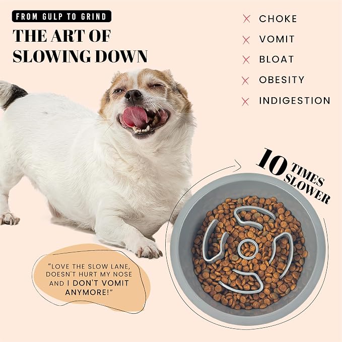AVERYDAY Slow Feeder Dog Bowls for Medium Breeds Fits Raised Feeding Station - Image 2