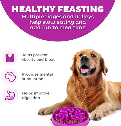 Outward Hound Fun Feeder Slo Bowl – Large 4‑Cup Capacity, Slow Feeding - Image 2