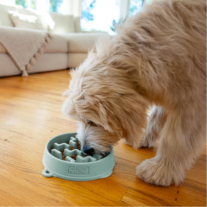 Outward Hound Medium Slow Feeder Bowl, Puzzle Maze - Image 6