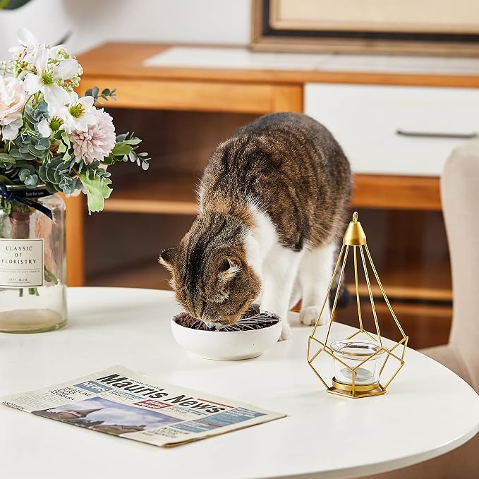 Howise Ceramic Cat Bowls, 5.19 in Cat Food Bowl Cat Dishes - Image 7